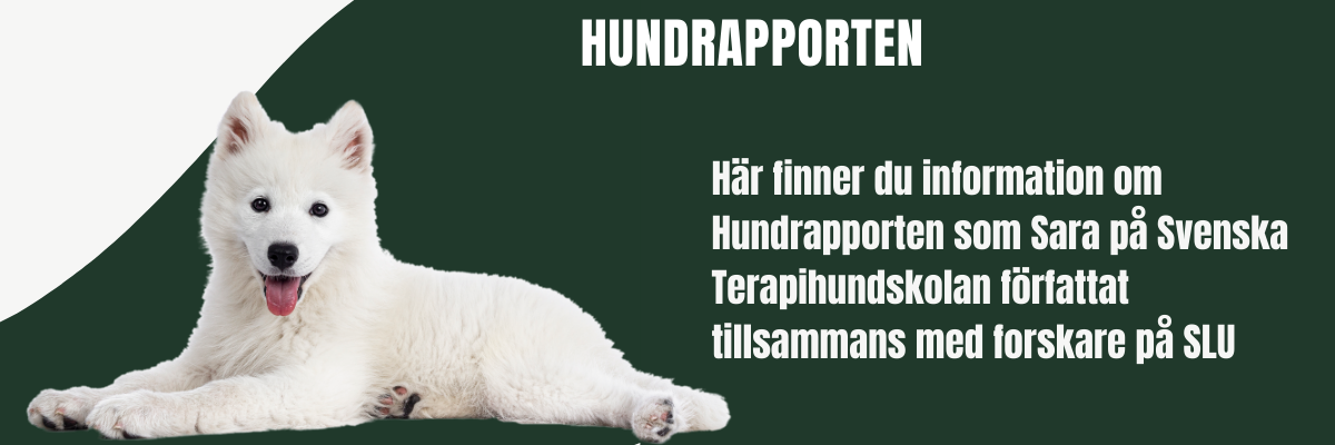 Hundrapporten
